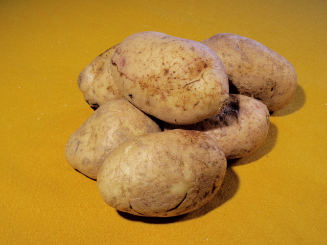 washed yellow potato